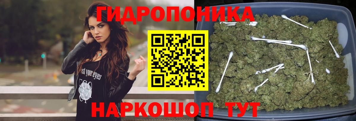 Каннабис план  Конопля Ganja  Шишки марихуана AK-47  Вход с VPN  Прокопьевск 